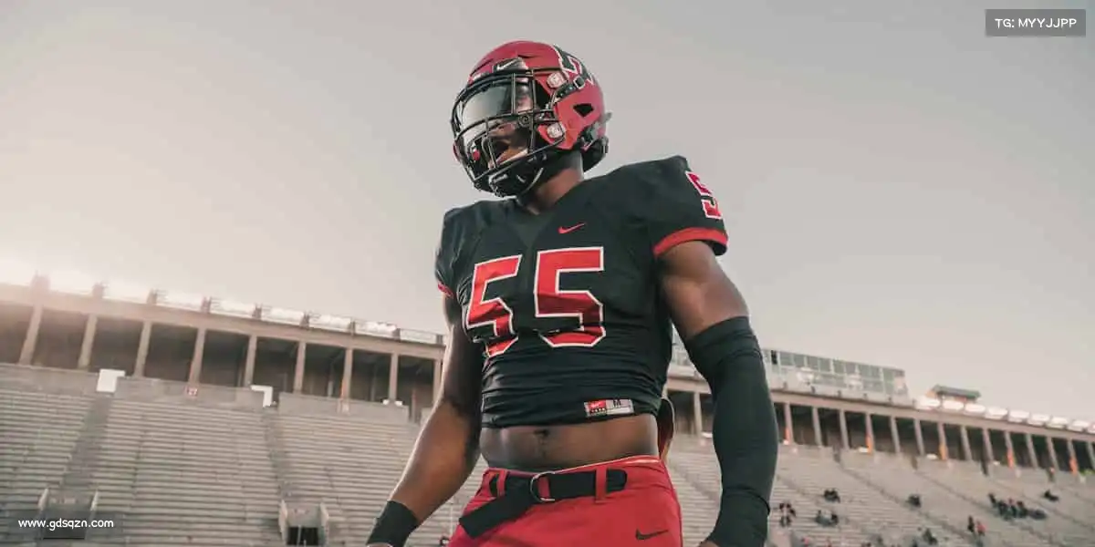 为什么选择我们